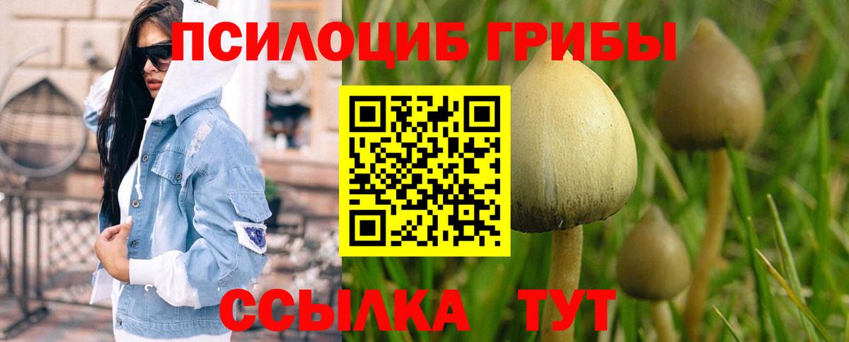 Южно-Сахалинск  Галлюциногенные грибы Psilocybine cubensis  Вход с VPN 