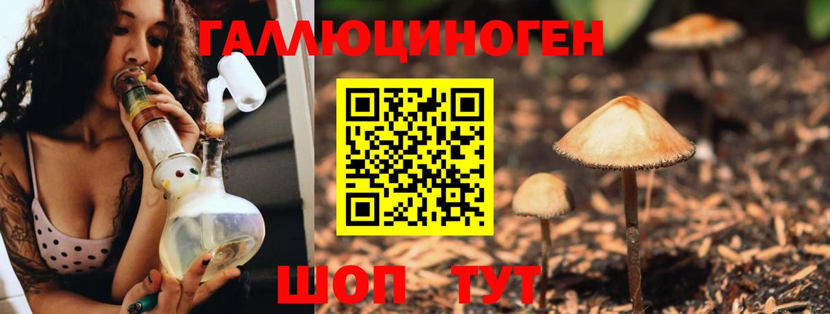 Галлюциногенные грибы MAGIC MUSHROOMS Южно-Сахалинск